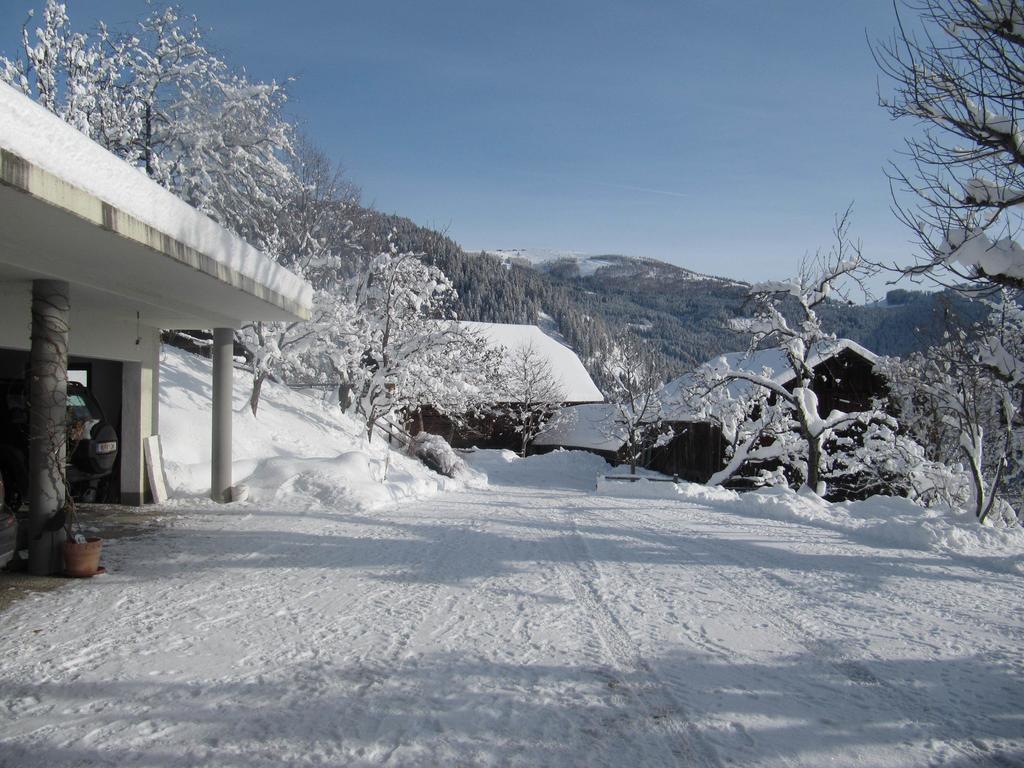 Apartments Berghof Familie Steinwender Pölling Стая снимка